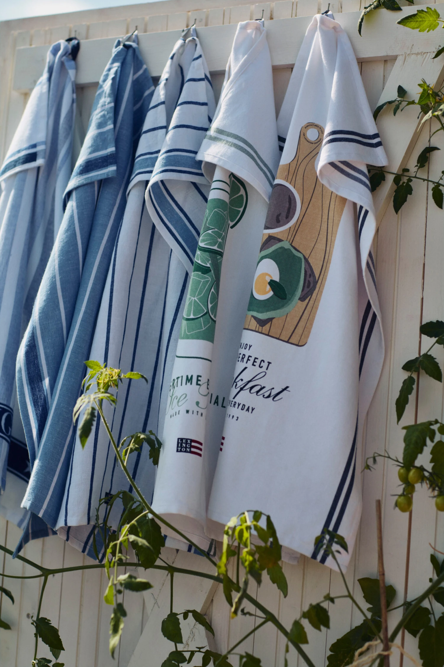 Lexington Ice Tea Organic Cotton Twill Geschirrtuch 50 X 70cm 5 Lexington Ice Tea Organic Cotton Twill Geschirrtuch 50 X 70cm – Bild 5