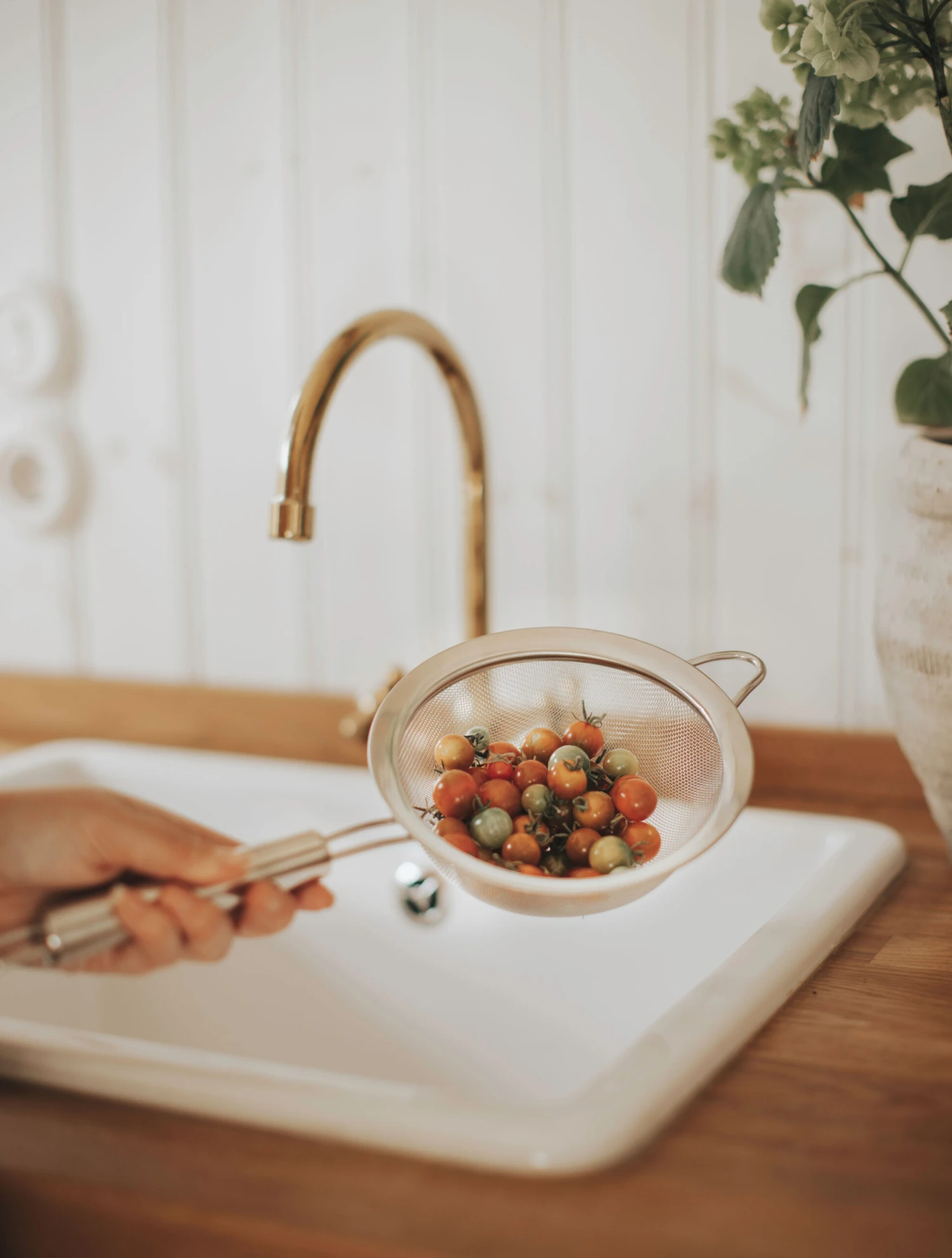 Dorre Pia Sieb Ø 16 Cm 2 Dorre Pia Sieb Ø 16 Cm – Bild 2